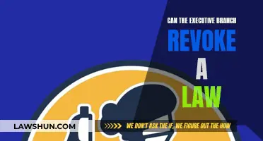 Executive Powers: Revoking Laws?