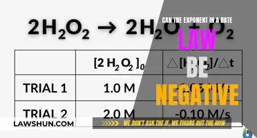 Understanding Negative Exponents in Rate Laws