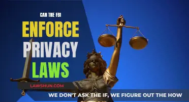 FBI's Role in Privacy Law Enforcement: Explained
