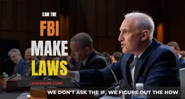 The FBI and Lawmaking: Who Really Makes the Laws?