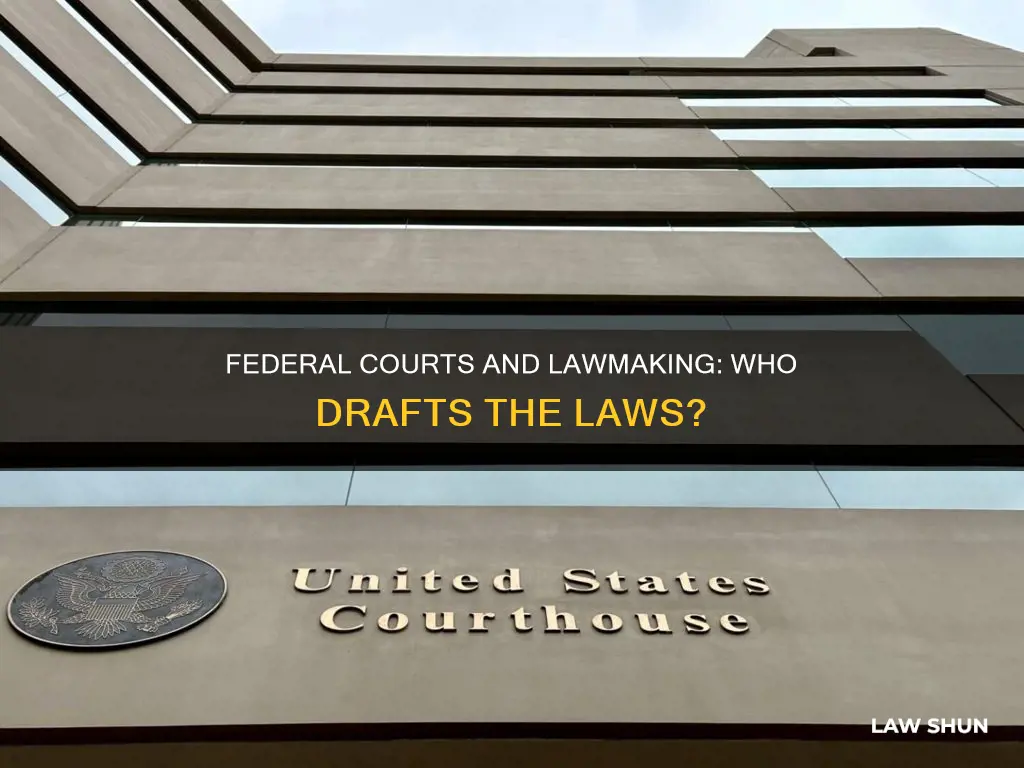 can the federal courts write law