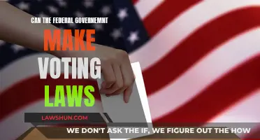 Federal Voting Laws: Who Decides?