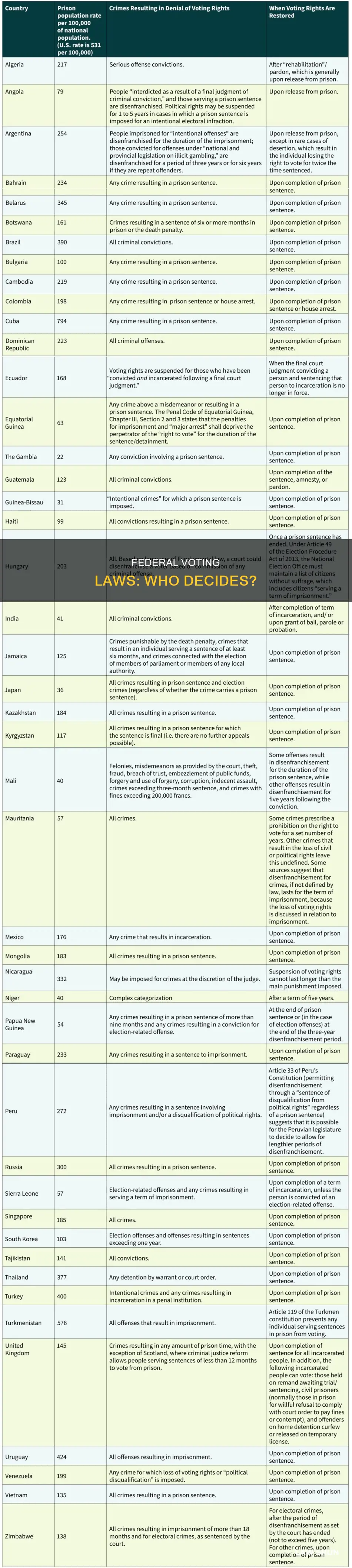 can the federal governemnt make voting laws