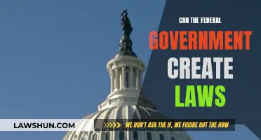 The Federal Government's Law-Making Powers