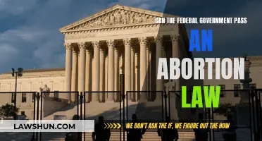 The Federal Government's Power Over Abortion Law
