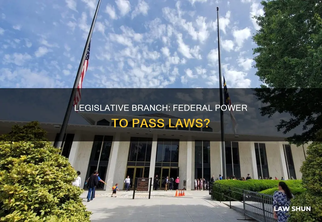 can the federal government pass laws via legislative branch