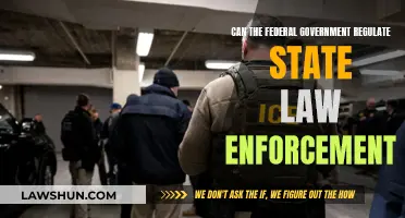 Federal Power: Can It Control State Police?