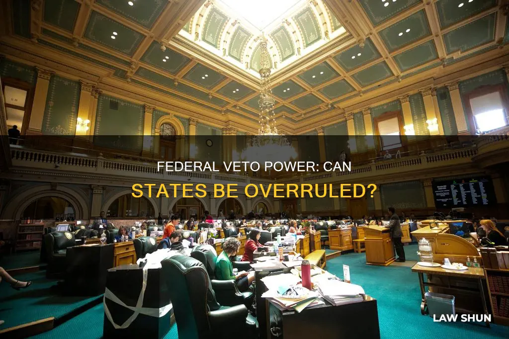 can the federal government veto state laws