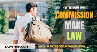 Trade Commission Lawmaking Powers: Explained