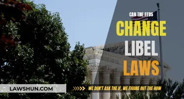 Feds' Power to Alter Libel Laws: A Complex Question