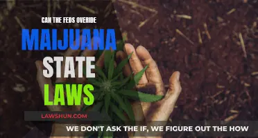 Feds vs States: Marijuana Laws in Conflict