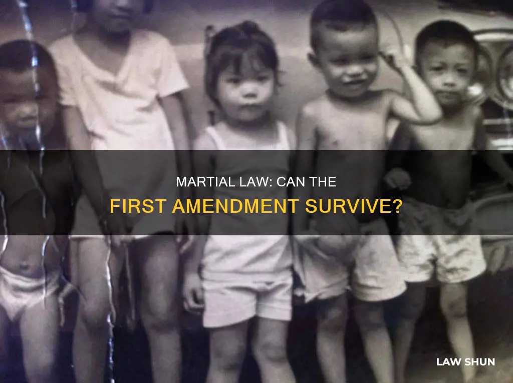 can the first admendment be suspended under martial law