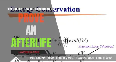 The First Law of Thermodynamics: Gateway to an Afterlife?