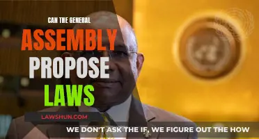 Understanding General Assembly's Role in Law Proposal
