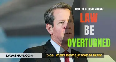 The Future of Georgia's Voting Law: Overturning Possible?