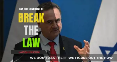 The Government and Law: Above or Equal?