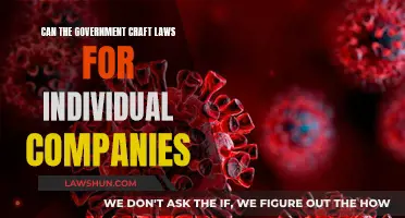 Crafting Laws for Companies: Government's Role?