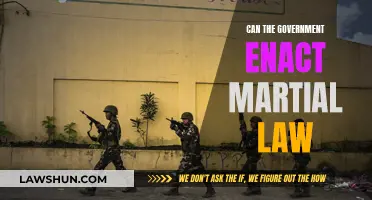 Martial Law: Can Governments Impose Military Rule?