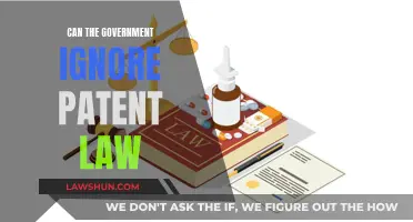 The Government's Hand in Patent Law: Ignorance or Intent?