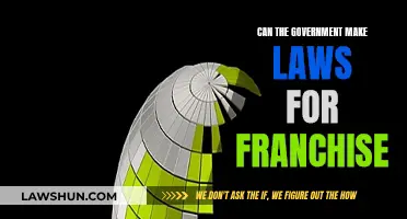 The Government's Role in Franchising Lawmaking