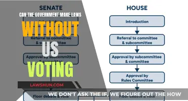 The Government's Power: Laws Without Votes?