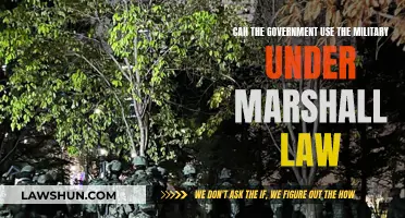 Martial Law: Military Deployment Under Government Rule