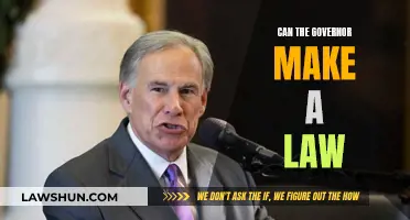Who Makes the Law? Governors and Their Limits