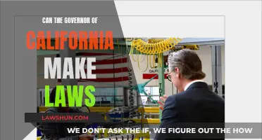 Who Makes California's Laws? Governor's Powers Explained