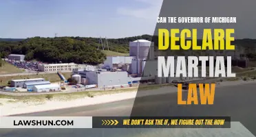 Martial Law in Michigan: Can the Governor Enact It?