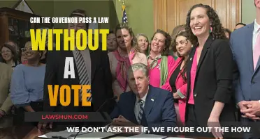 Executive Power: Can Governors Pass Laws Without Votes?