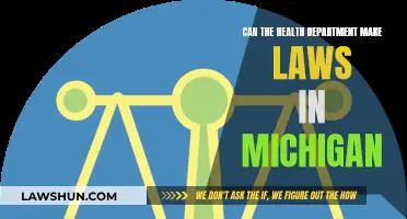 Health Department's Lawmaking Powers in Michigan: Explained