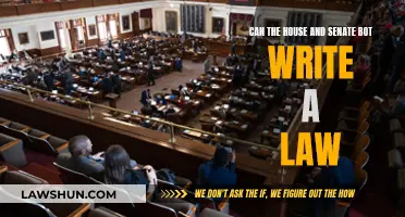 Crafting Laws: House, Senate, and AI