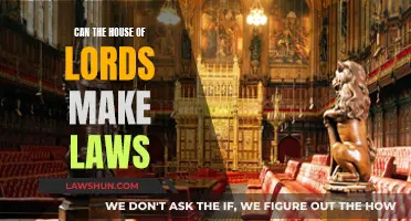 Understanding the Law-Making Powers of the House of Lords