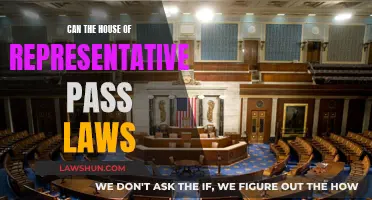 The House of Representatives: Law-Making Power?