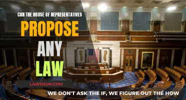Understanding Law-Making Powers of the House of Representatives