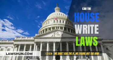 The House's Law-Writing Powers Explored