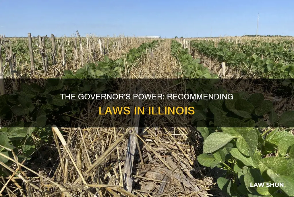 can the illinois governor recommend laws