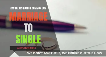 IRS Audits: Common-Law Marriage vs. Single Status