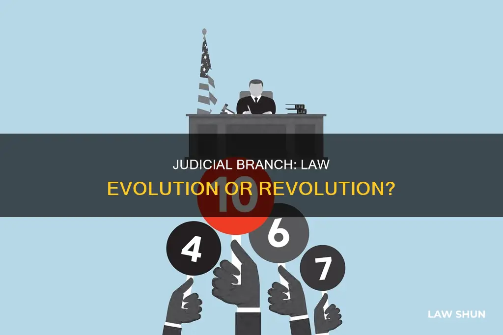 can the judicial branch change laws