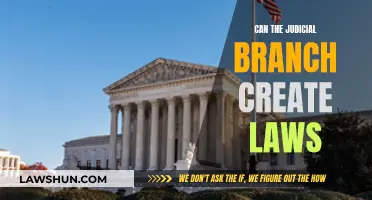 Judicial Branch Lawmaking: Power and Limitations