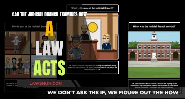 Judicial Branch: Interpreting Laws, Ensuring Constitutional Compliance