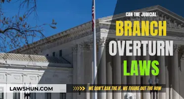 Judicial Branch: Overturning Laws, How and When?
