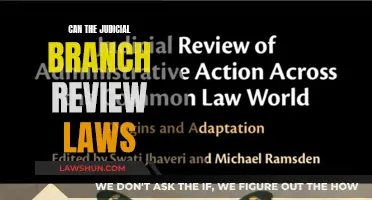 Judicial Branch: Law Review and Analysis