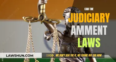 Judiciary's Power: Amending Laws, Explained