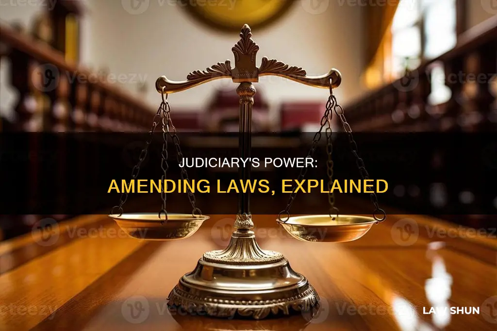 can the judiciary amment laws