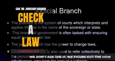 Judiciary Branch: Can It Check a Law?