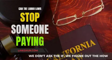Labor Laws: Can They Prevent Payment Issues?