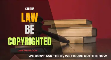 The Law and Copyright: Who Owns What?