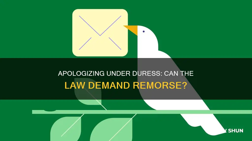 can the law force you to apologiz
