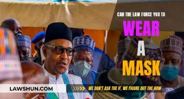 The Law, Masks, and Your Rights